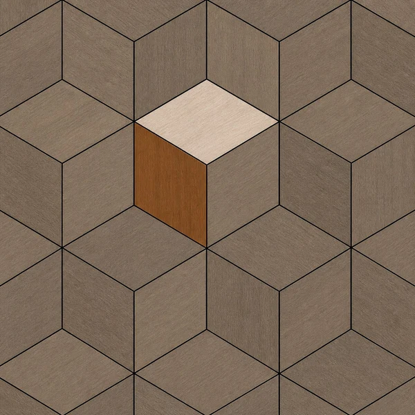 Cube illusion — LIGNORA Bespoke