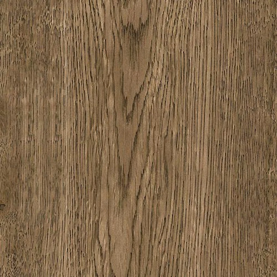 Silver Birch — LIGNORA Bespoke