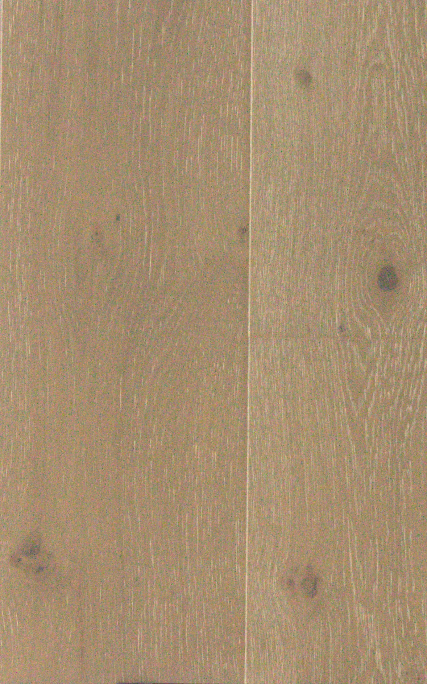 LN55 Sandy Grey Oak engineered oak flooring — 14mm × 220mm × 2200mm
