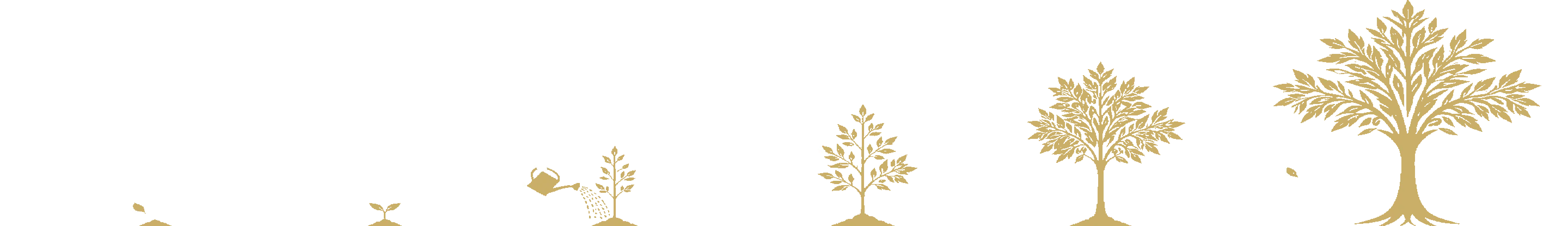 From a seed to a legacy — generations of craft with LIGNORA